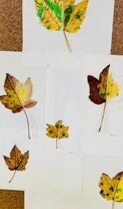 Mehr über den Artikel erfahren BG Arbeiten Oktober 2024
